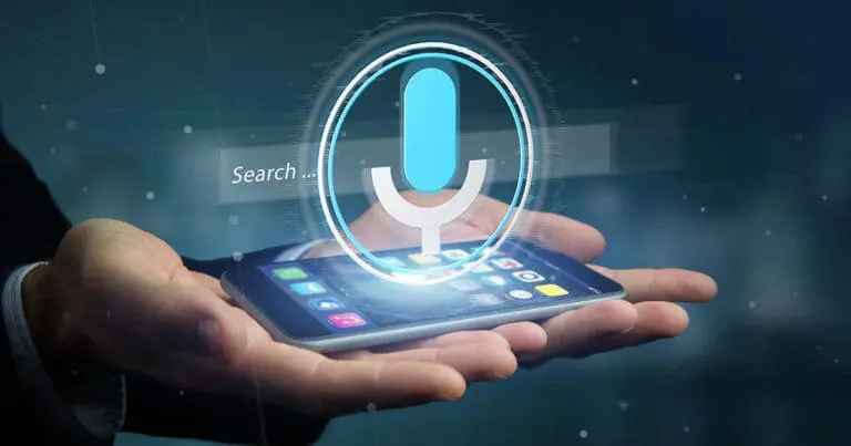 voice search